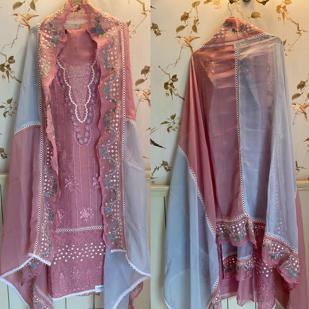 Designer Organza Suit- E041