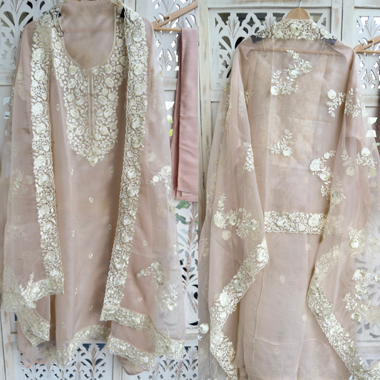 Organza Suit- E018